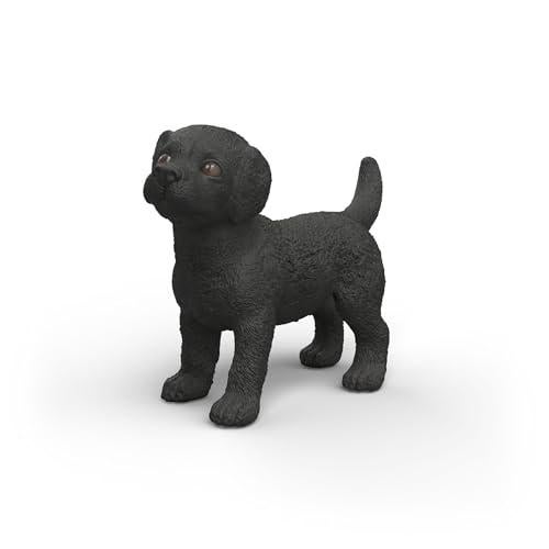 Black Labrador Retriever Puppy